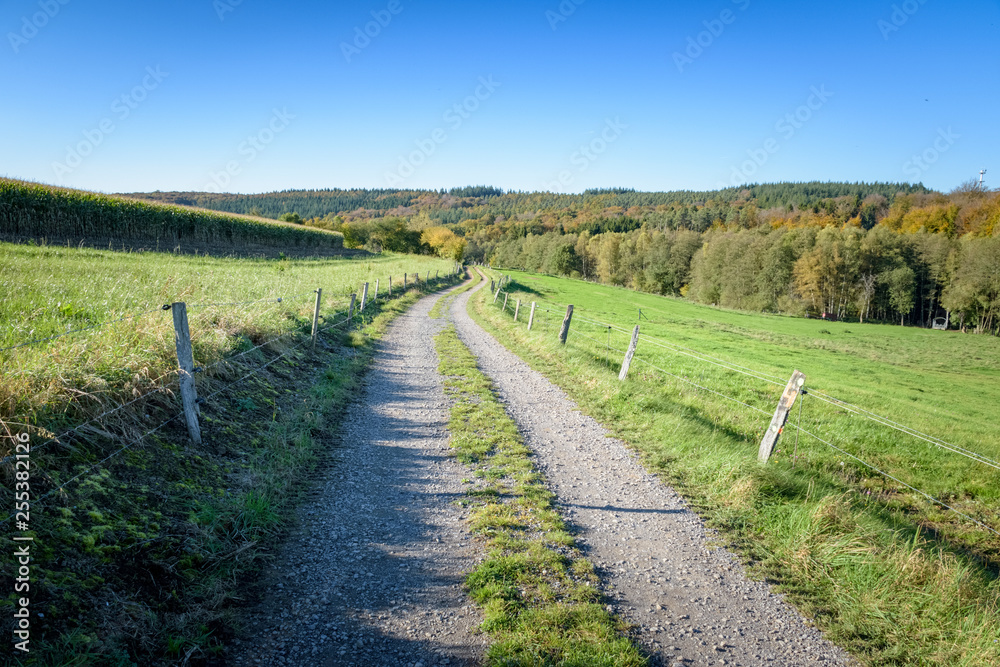 Dirt road winding through grassy fields with forest background Ardennes