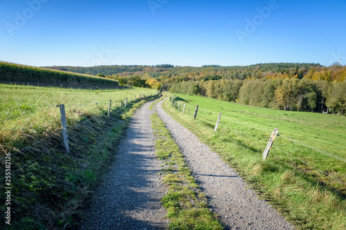 Dirt road winding through grassy fields with forest background Ardennes