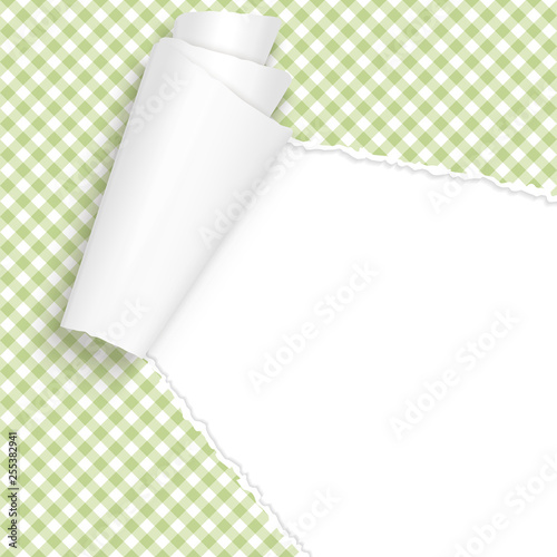 ripped open paper checkered green