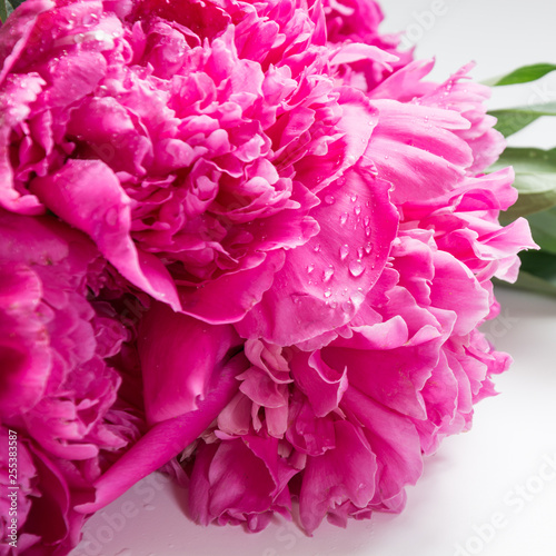 Bouquet of romantic pink peony flowers. Spring. © svetlana_cherruty