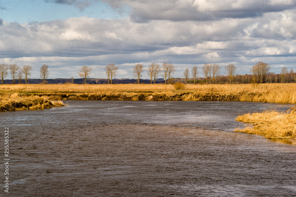 Obraz premium Rzeka Narew. Wiosna nad Narwią. Piękno Podlasia