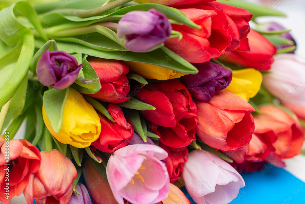 beautiful bouquet of colorful tulips