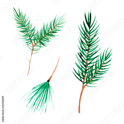 Colorful floral set with leaves and branch, drawing watercolor, illustration isolated on white background. Design for invitation, wedding or greeting cards.