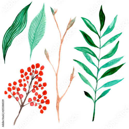 Colorful floral set with leaves and branch, drawing watercolor, illustration isolated on white background. Design for invitation, wedding or greeting cards.
