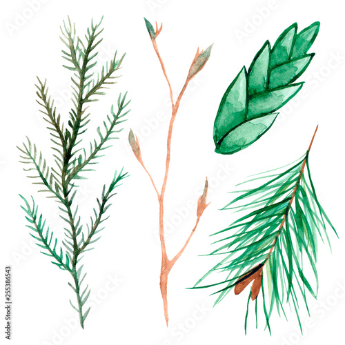 Colorful floral set with leaves and branch, drawing watercolor, illustration isolated on white background. Design for invitation, wedding or greeting cards.