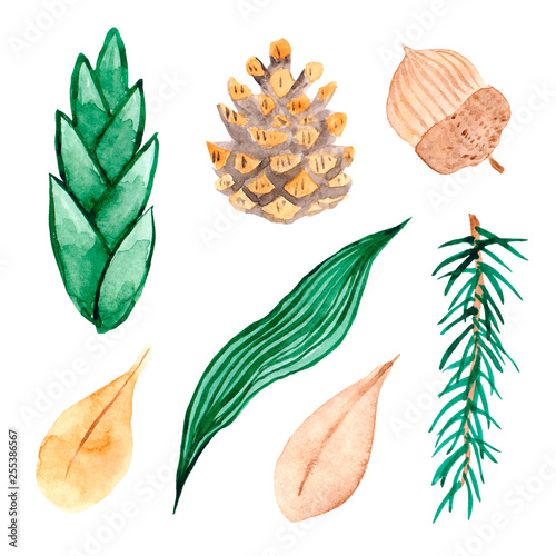 Colorful floral set with leaves and branch, drawing watercolor, illustration isolated on white background. Design for invitation, wedding or greeting cards.
