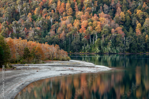 Lago Curruhué grande en otoño.