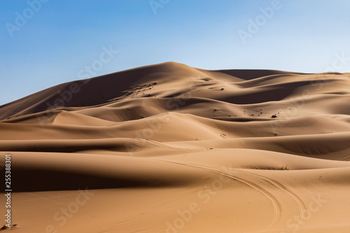 Sand Dunes in the Sahara Desert