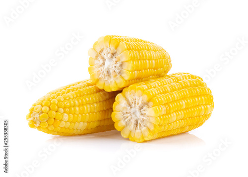 corn on white background. full depth of field