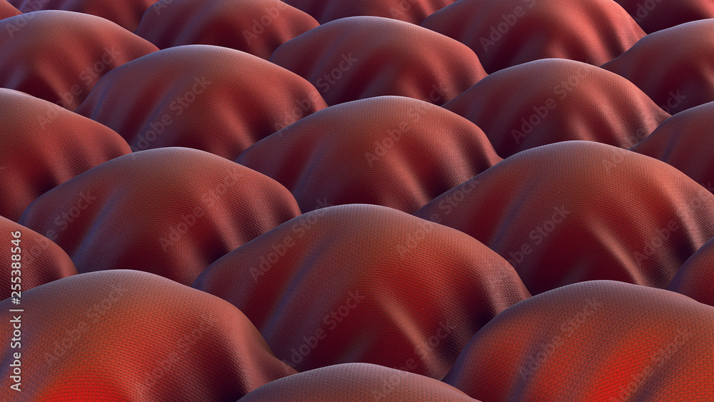 Obraz premium 3d rendering. Abstract cloth background.