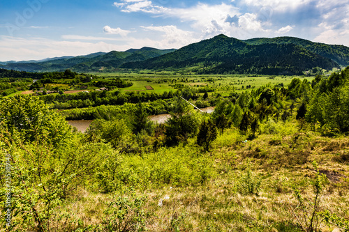 Landscape view of the mountain river with green vegetation trees bushes and grass and blue sky