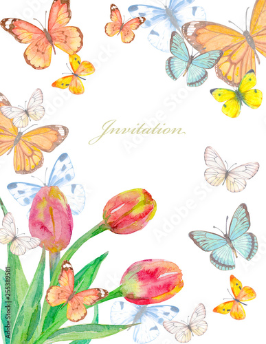 floral invitation card with lovely tulips and flying butterflies. watercolor painting © Aloksa