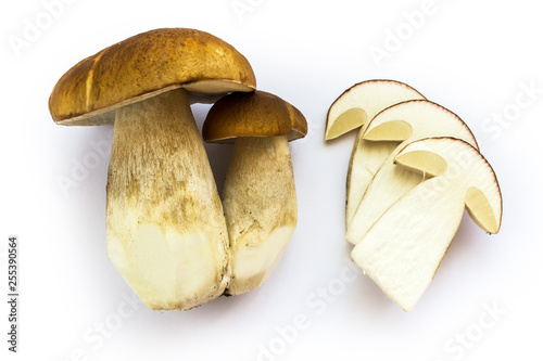 Whole and Cut Edible Boletus Edulis Mushrooms on White Background