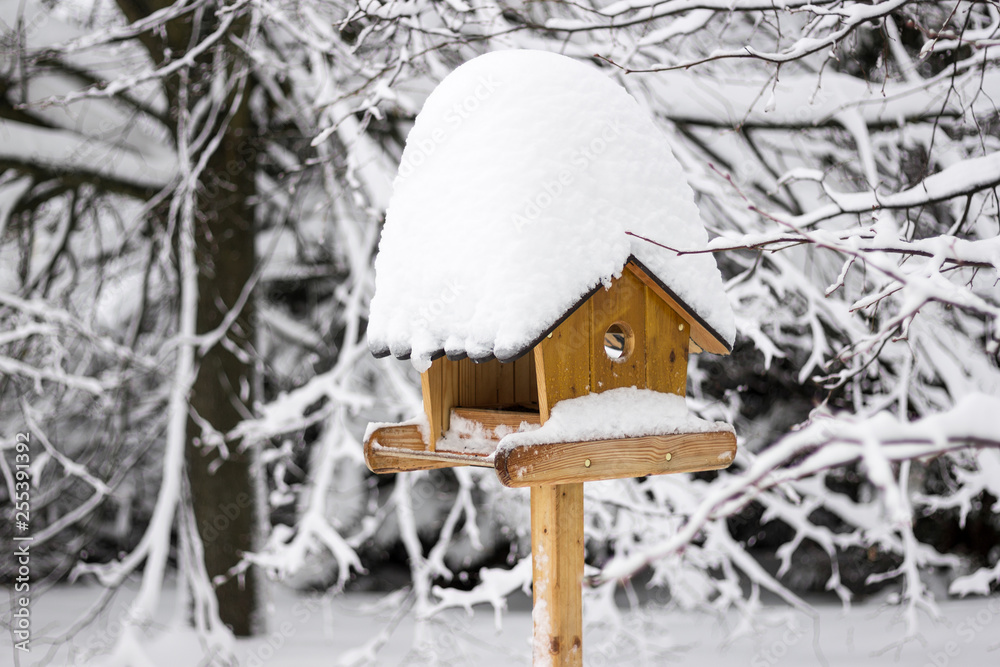 Bird House with Snow on Roof. Wooden Birdhouse in Winter with Trees on Background. Bird House with Snow on Roof. Wooden Birdhouse in Winter with Trees on Background.