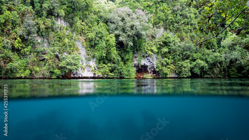 Over under shot while snorkeling and diving in Palau's Rock Islands