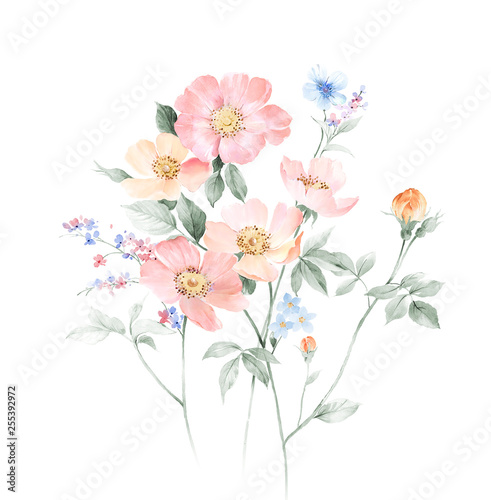 Elegant watercolor hand painted flower