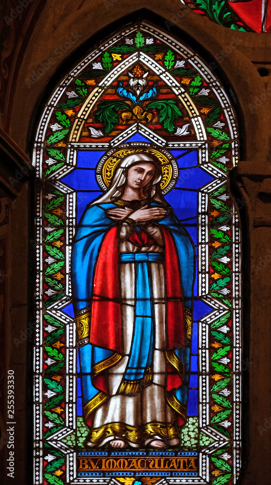 Immaculate Conception, stained glass window in the Basilica di Santa Croce (Basilica of the Holy Cross) - famous Franciscan church in Florence, Italy