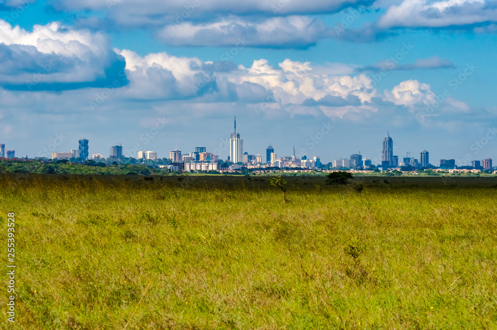 View of Nairobi park savannah with city