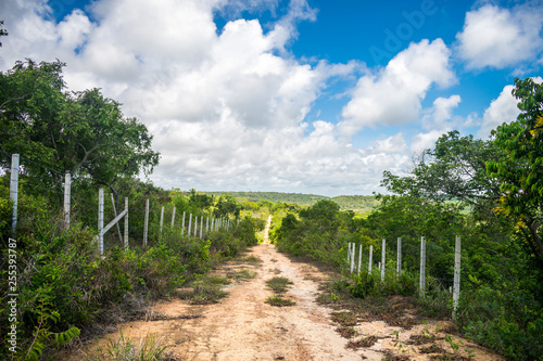 A view of a countryside road on Itamaraca Island - Pernambuco, Brazil photo