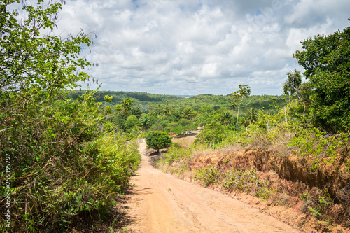 Countryside road on Itamaraca Island - Pernambuco, Brazil photo