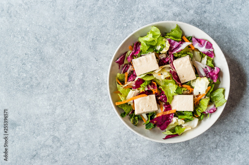 Organic Vegan Asian Tofu Salad with Red Cabbage, Lettuce and Carrot Slices.