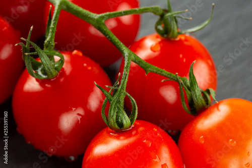 Green fresh branch with cherry tomatoes on it