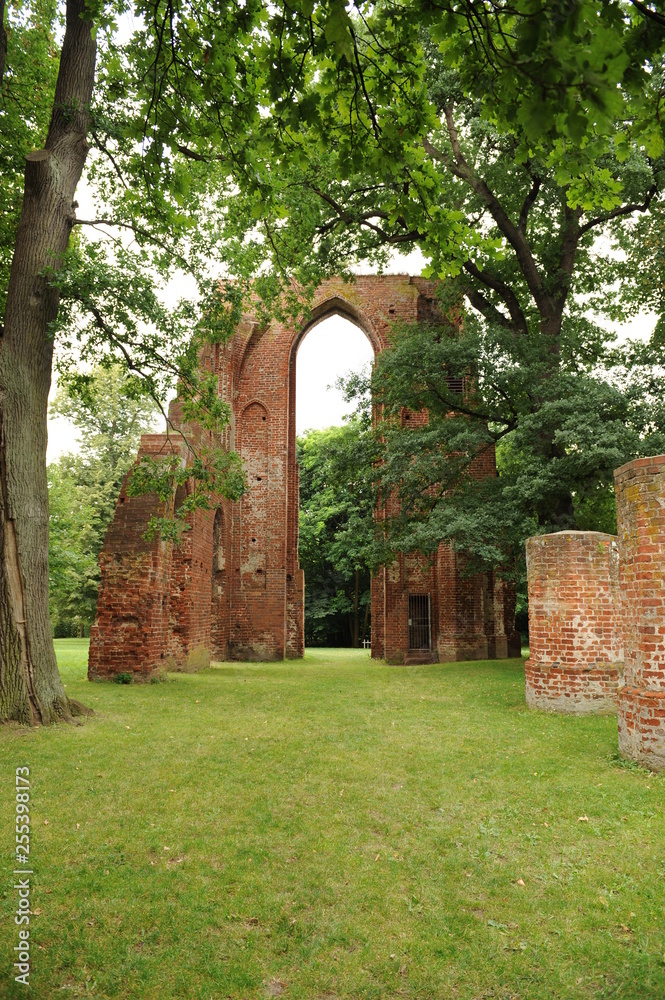 Klosterruine Eldena bei Greifswald