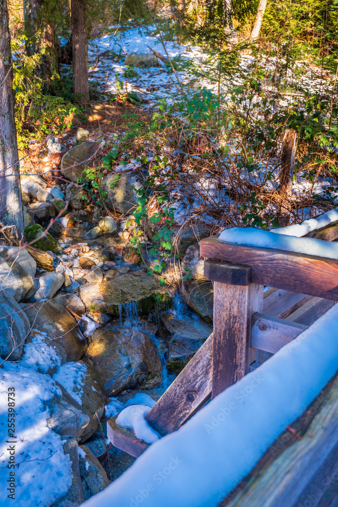 Obraz premium Beautiful Mountain River or Creek in Winter at West Vancouver, Canada.