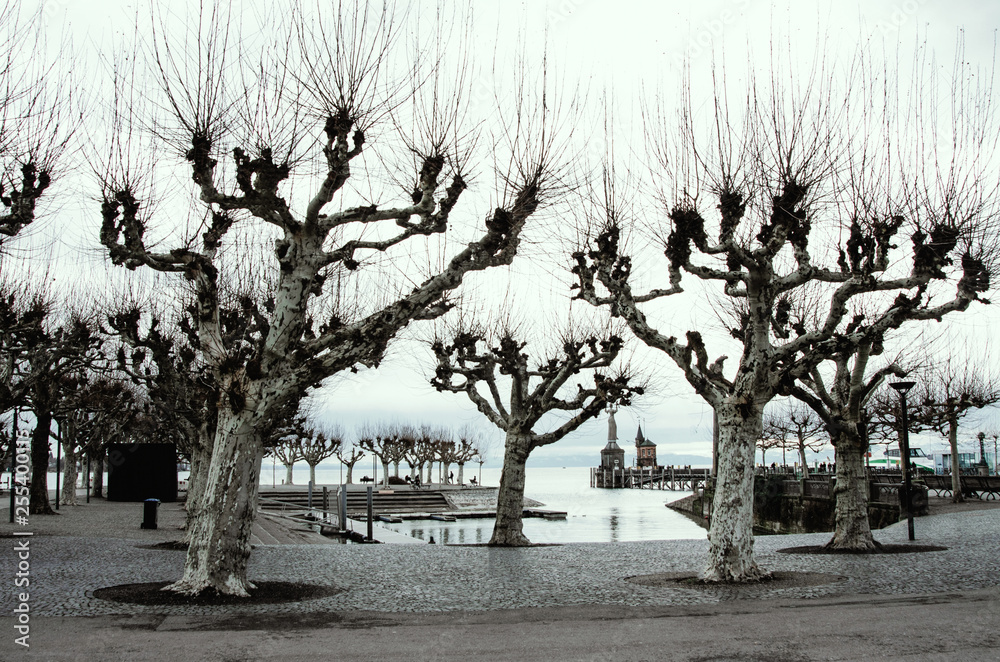 Lakeside with cobblestone promenade in a park with old trees. Lakeside with cobblestone promenade in a park with old trees.
