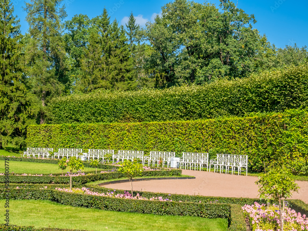 Obraz premium Green leaves tree in park