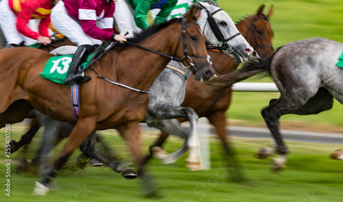 Close up motion blur horse racing action