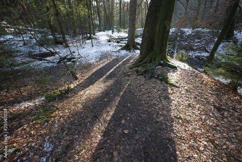 vereise Silbermmühle im Silberbachtal Teutoburger Wald photo