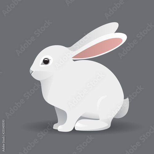 Cute White bunny Rabbit Cartoon Vector Illustration