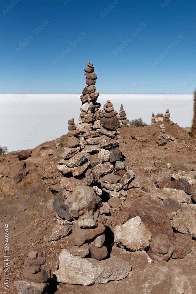 Isla de Pescado - wyspa na środku solnikska Salar de Uyuni Isla de Pescado - wyspa na środku solnikska Salar de Uyuni