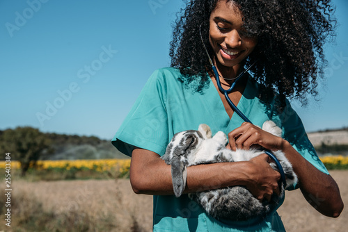 Veterinarian examining a bunny in a hay field photo