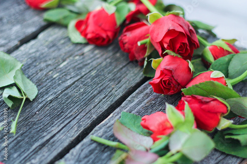 cut red withered roses .dark background  flowers