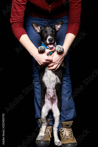 cropped view of woman in jeans with dog in collar on hind legs isolated on black