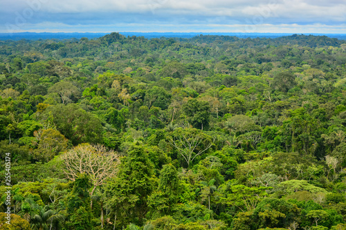 View of the Amazon Region © Jo