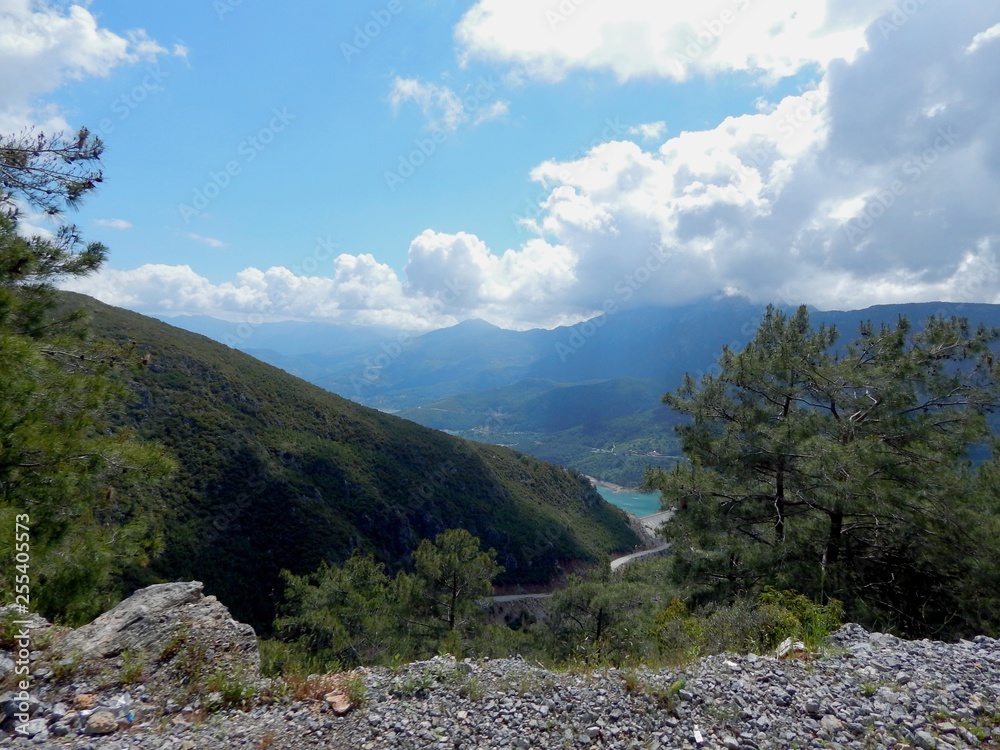 Obraz premium mountains covered with green forest against the blue sky and white clouds