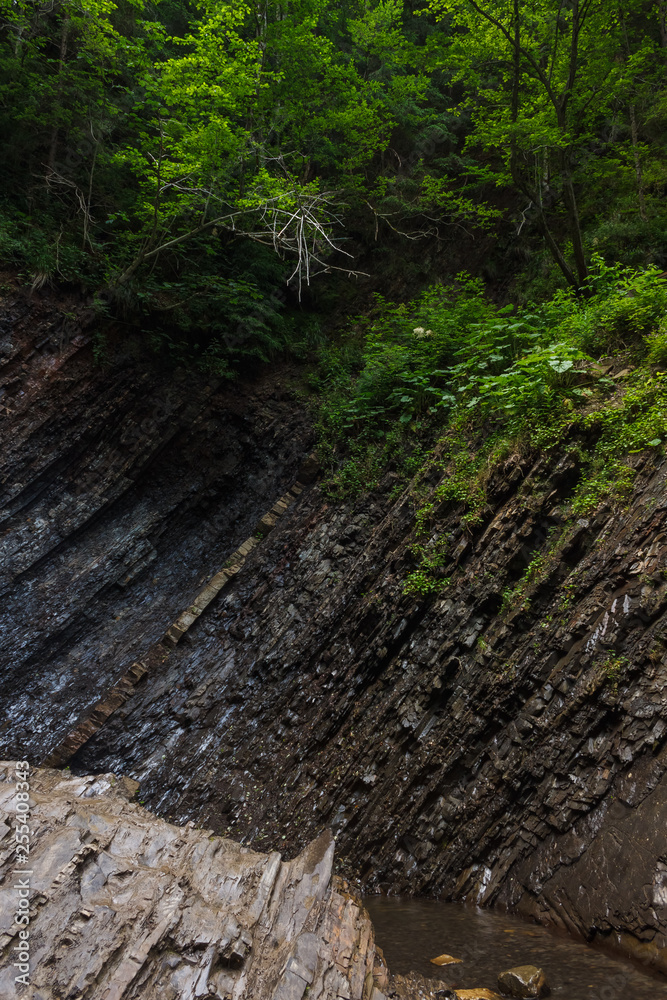 At the foot of the waterfall. Mountain river on the background of rock and plants At the foot of the waterfall. Mountain river on the background of rock and plants