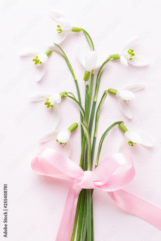 Fresh snowdrops on pink background with place for text. Spring greeting card. Fresh snowdrops on pink background with place for text. Spring greeting card.