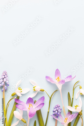 Fresh snowdrops on pink background with place for text. Spring greeting card.