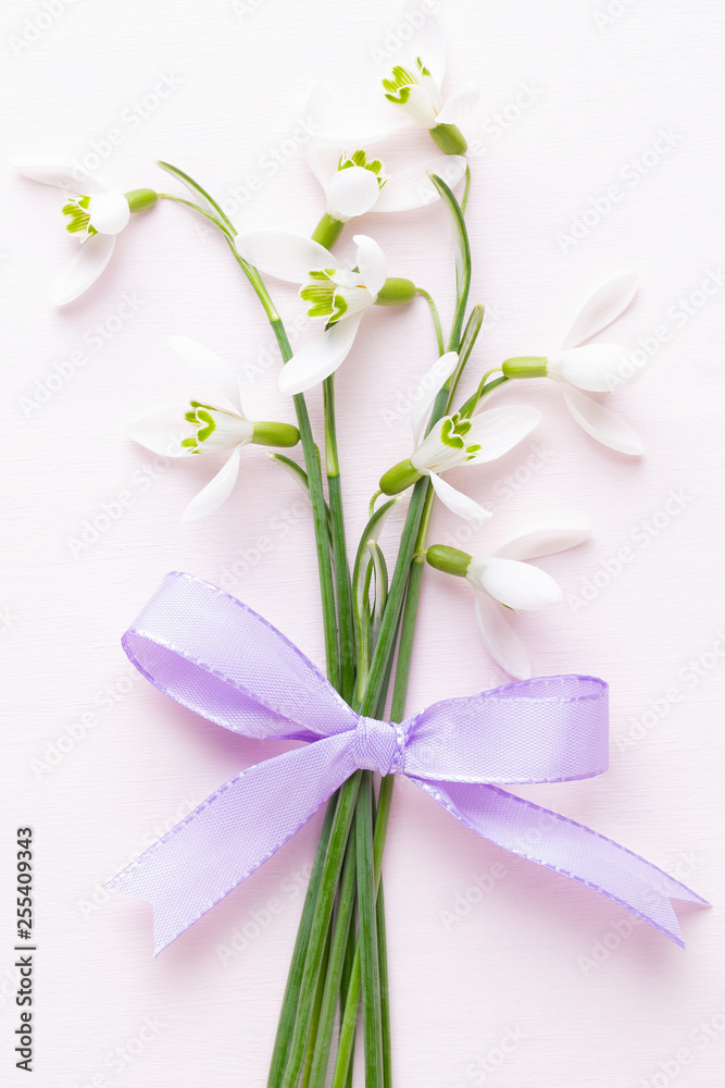 Fresh snowdrops on pink background with place for text. Spring greeting card.