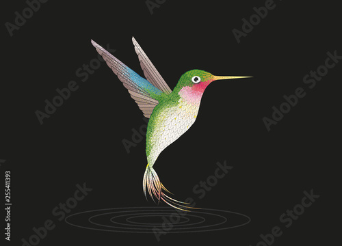  fliegender Kolibri auf schwarzen Grund