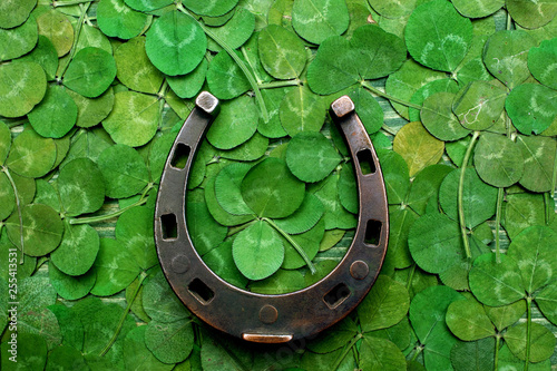 Fototapet horse shoe on green clovers background. St. Patrick's day