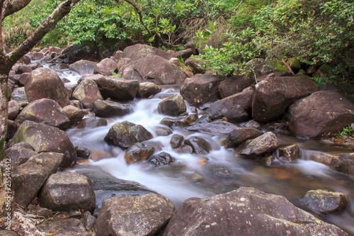 Stream in forest (Hong Kong)