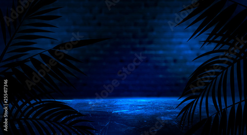 Background of the dark room  tunnel  corridor  neon light  lamps  tropical leaves. Abstract background with new light. 