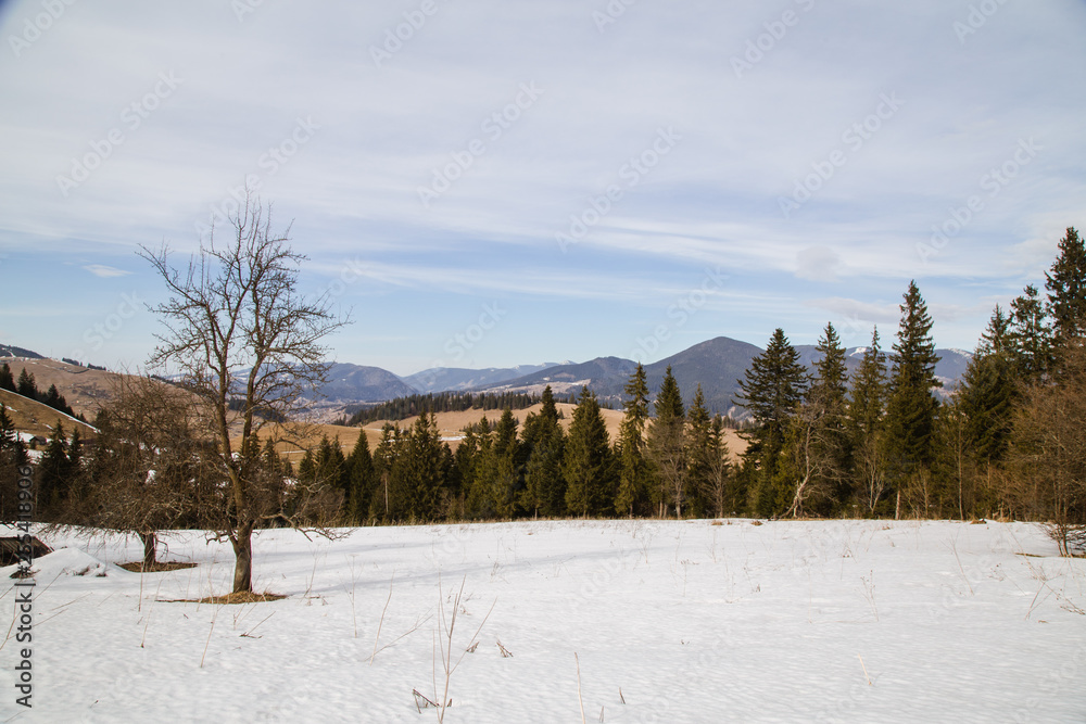 Spring vs winter landscape in the Carpathian mountains  
