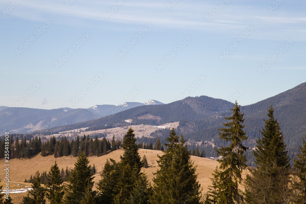 Spring vs winter landscape in the Carpathian mountains  