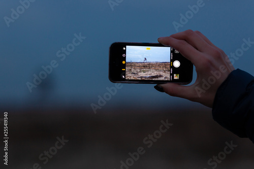 taking photo by mobile, hand holding mobile phone